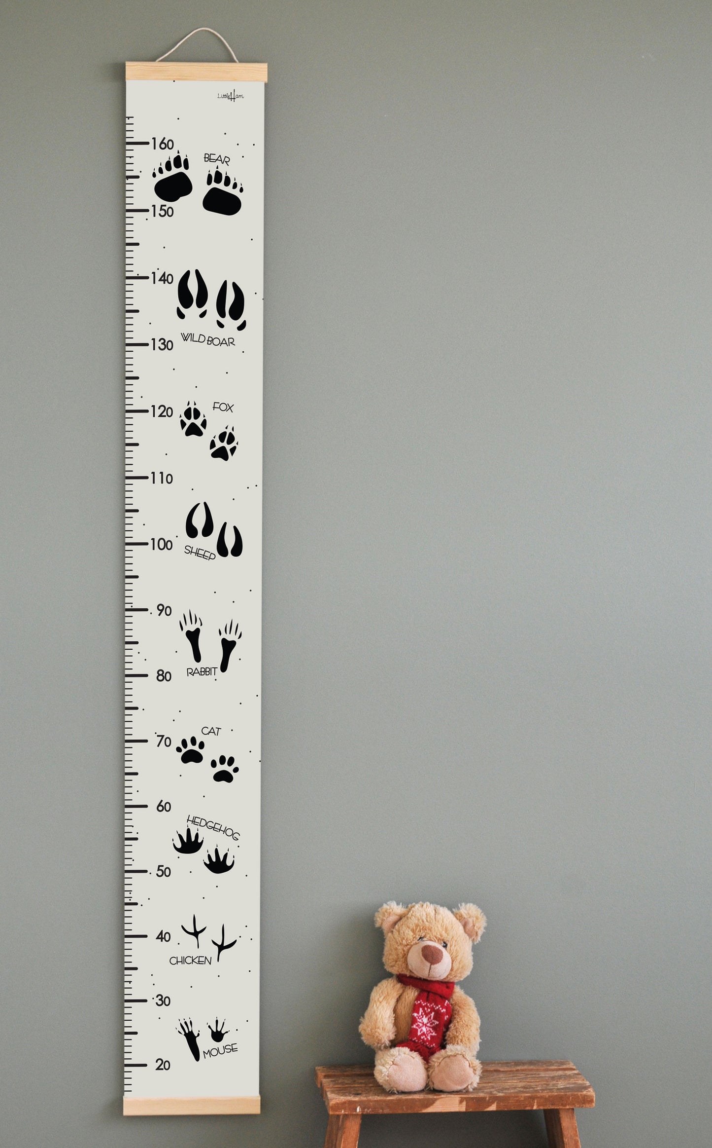 Animal Tracks