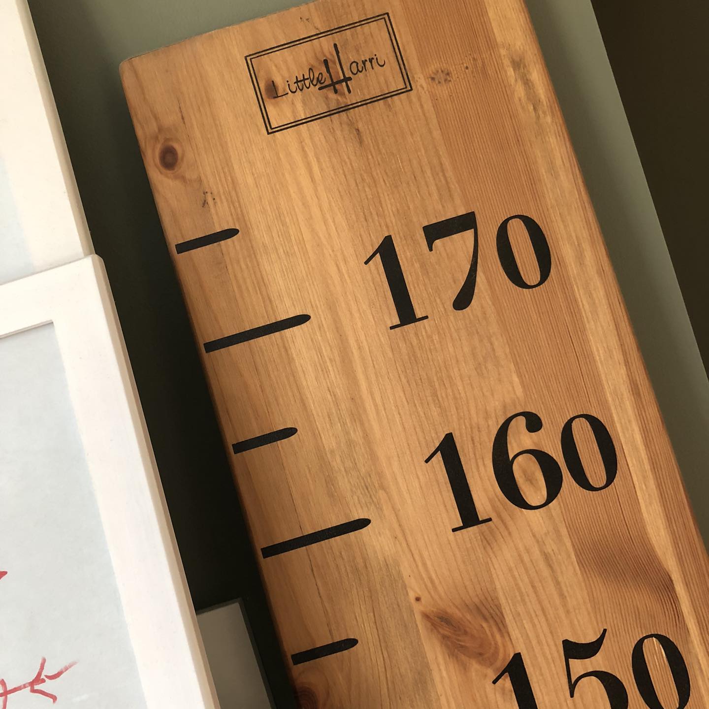 Wachstumsdiagramm aus Holz