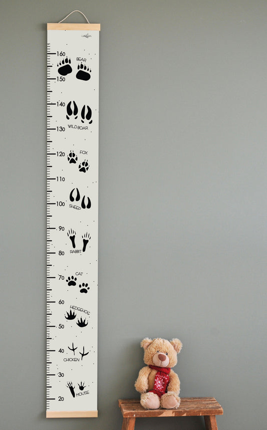 Animal Tracks